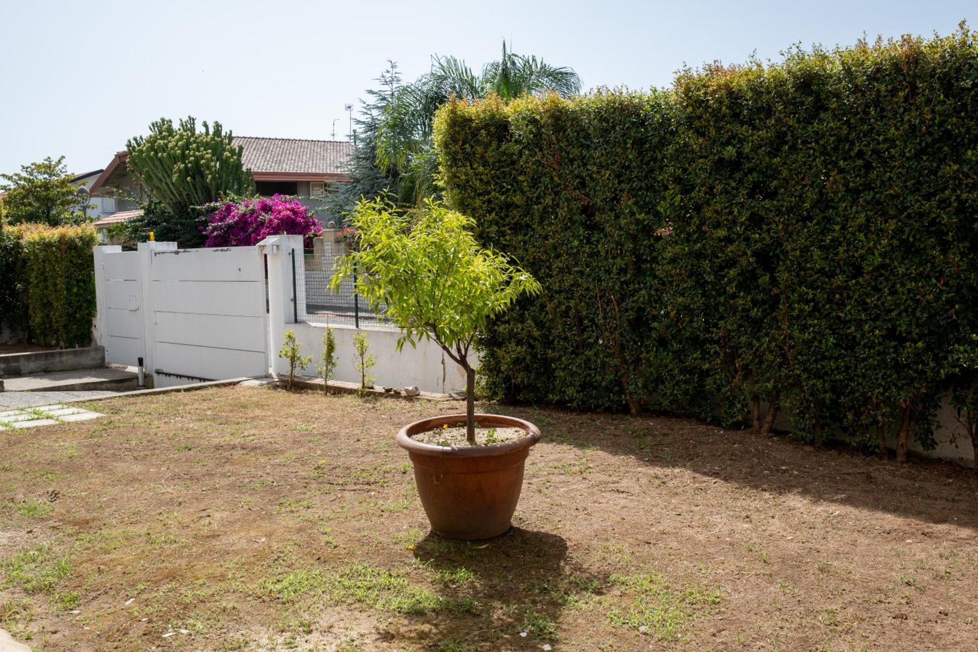 Apartment Fp Pizzo (Calabria)